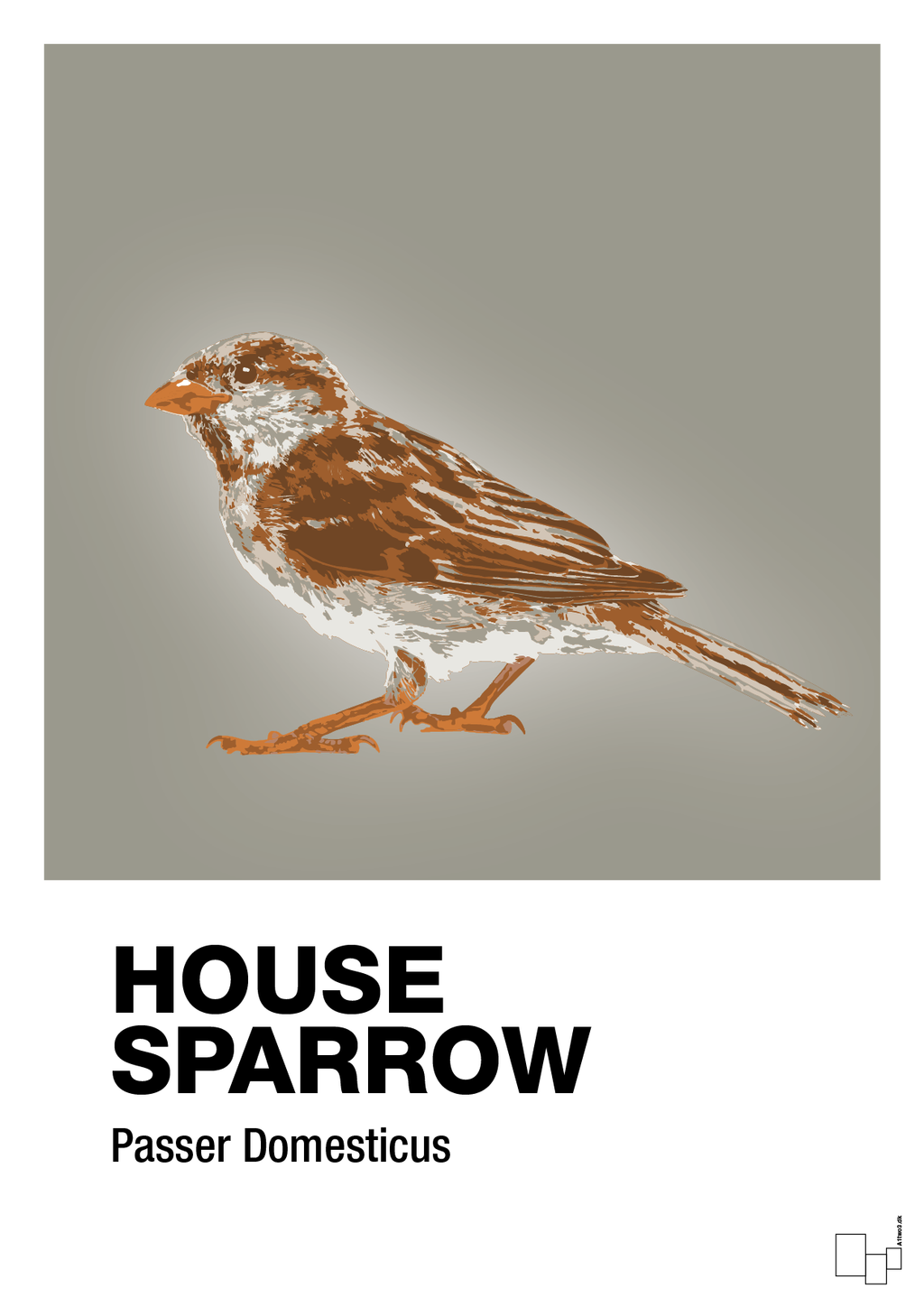 plakat: house sparrow - battleship gray-Dyr-A1two3