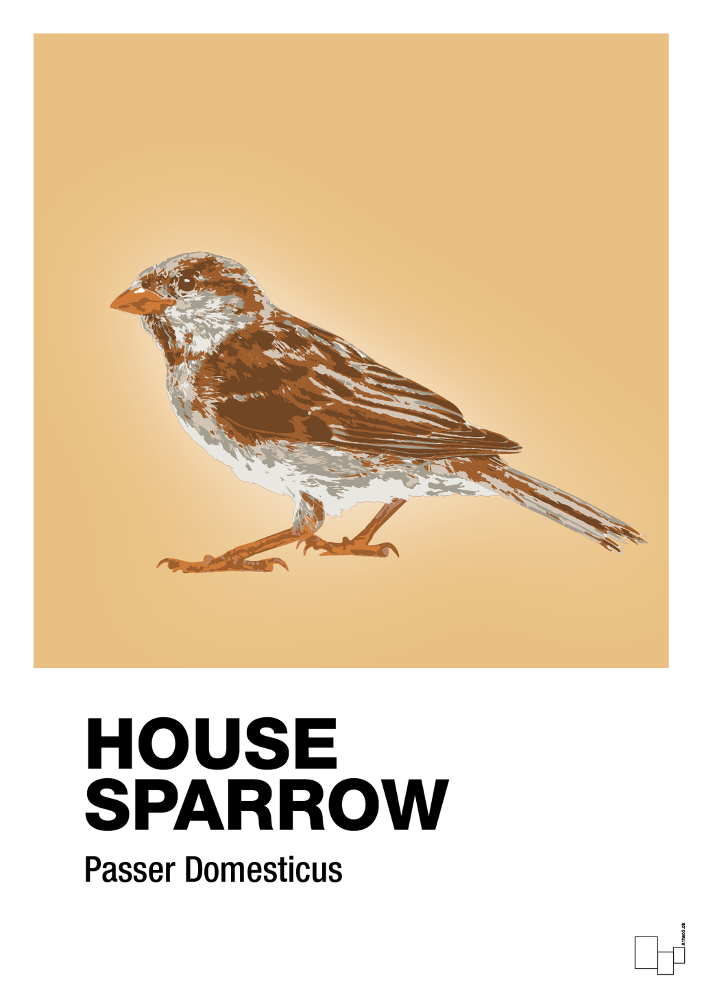 plakat: house sparrow - charismatic-Dyr-A1two3