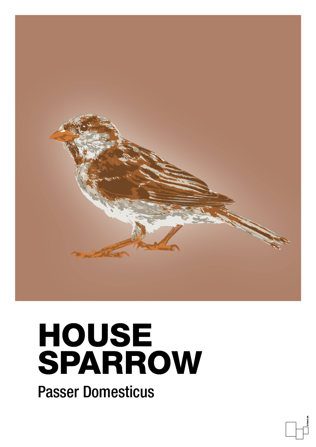 plakat: house sparrow - cider spice-Dyr-A1two3