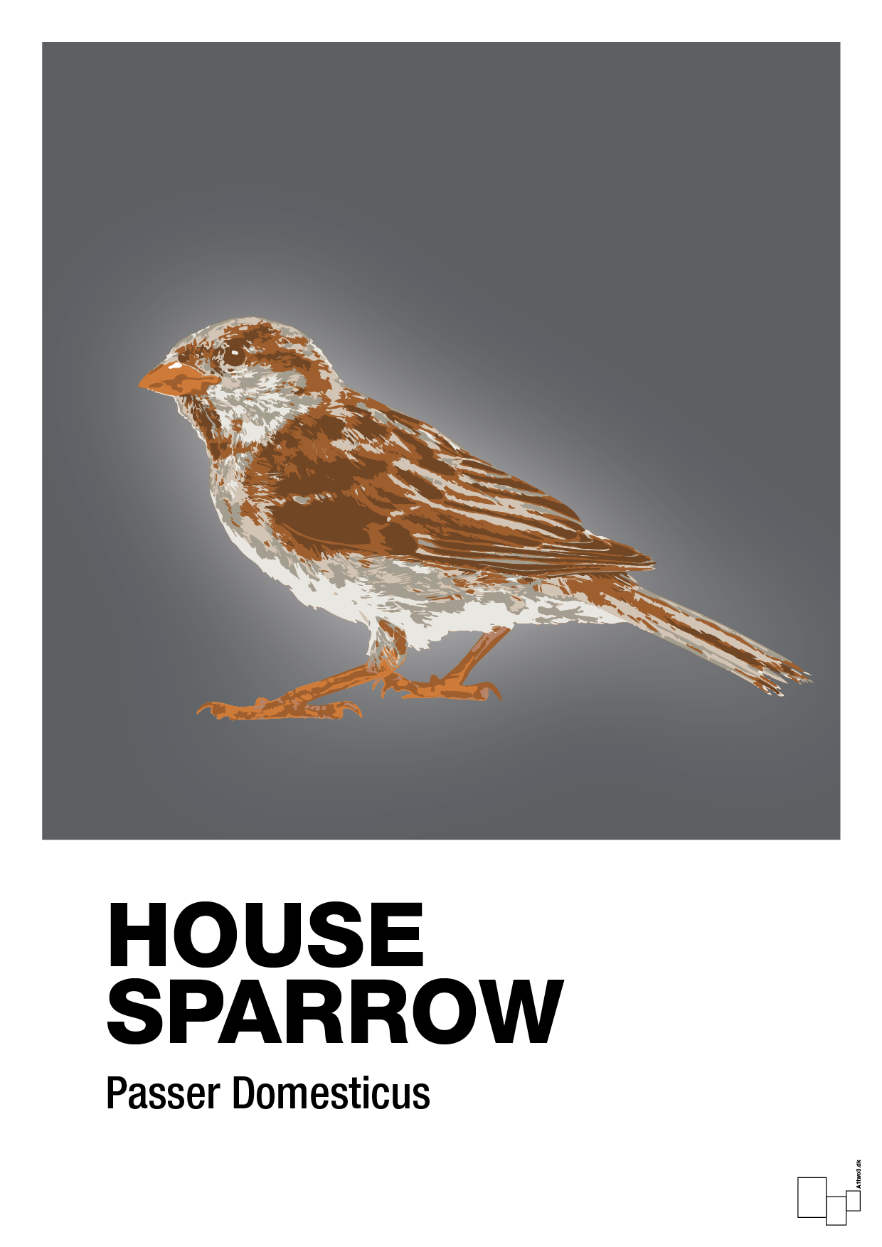plakat: house sparrow - graphic charcoal-Dyr-A1two3