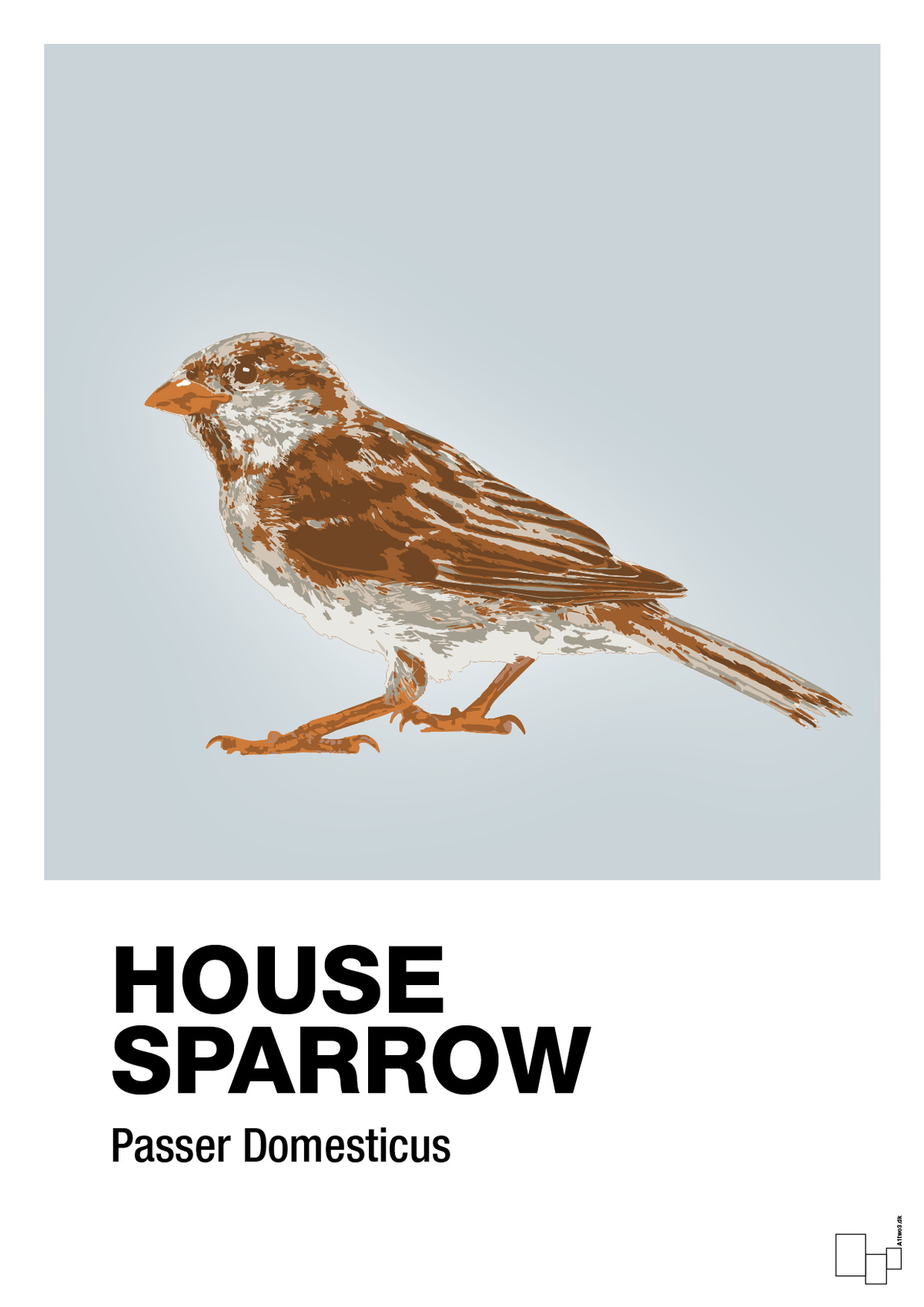 plakat: house sparrow - light drizzle-Dyr-A1two3