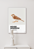 plakat: house sparrow - creamy mushroom-Dyr-A1two3