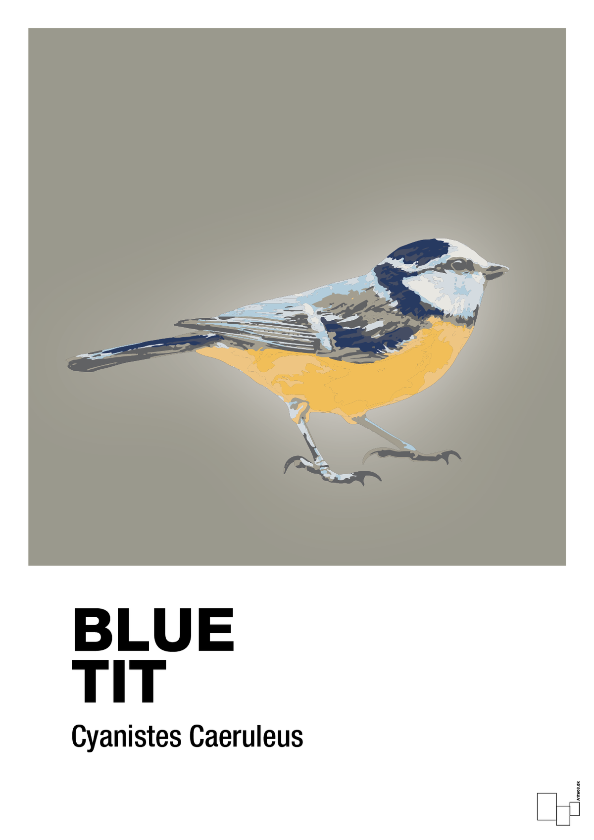 plakat: blue tit - battleship gray-Dyr-A1two3