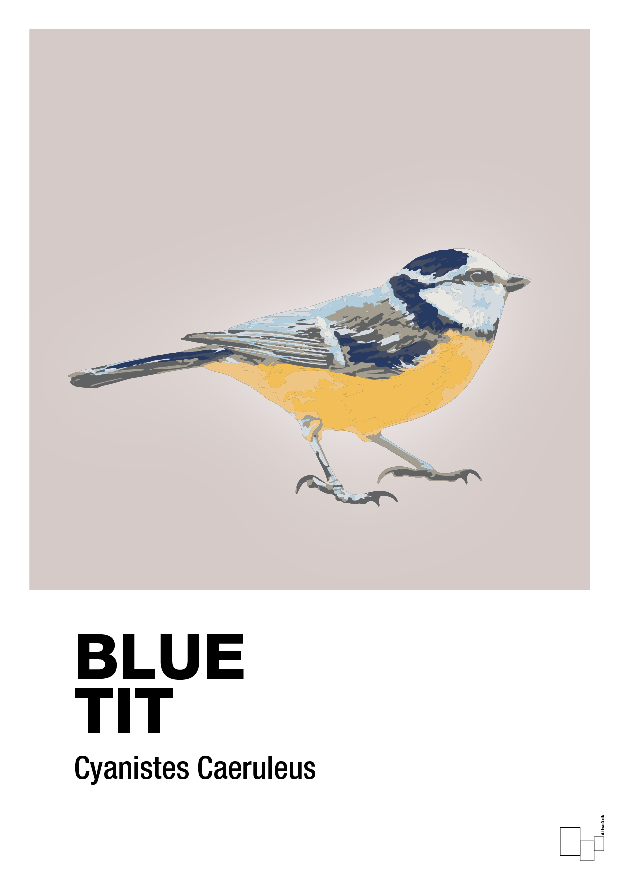 plakat: blue tit - broken beige-Dyr-A1two3