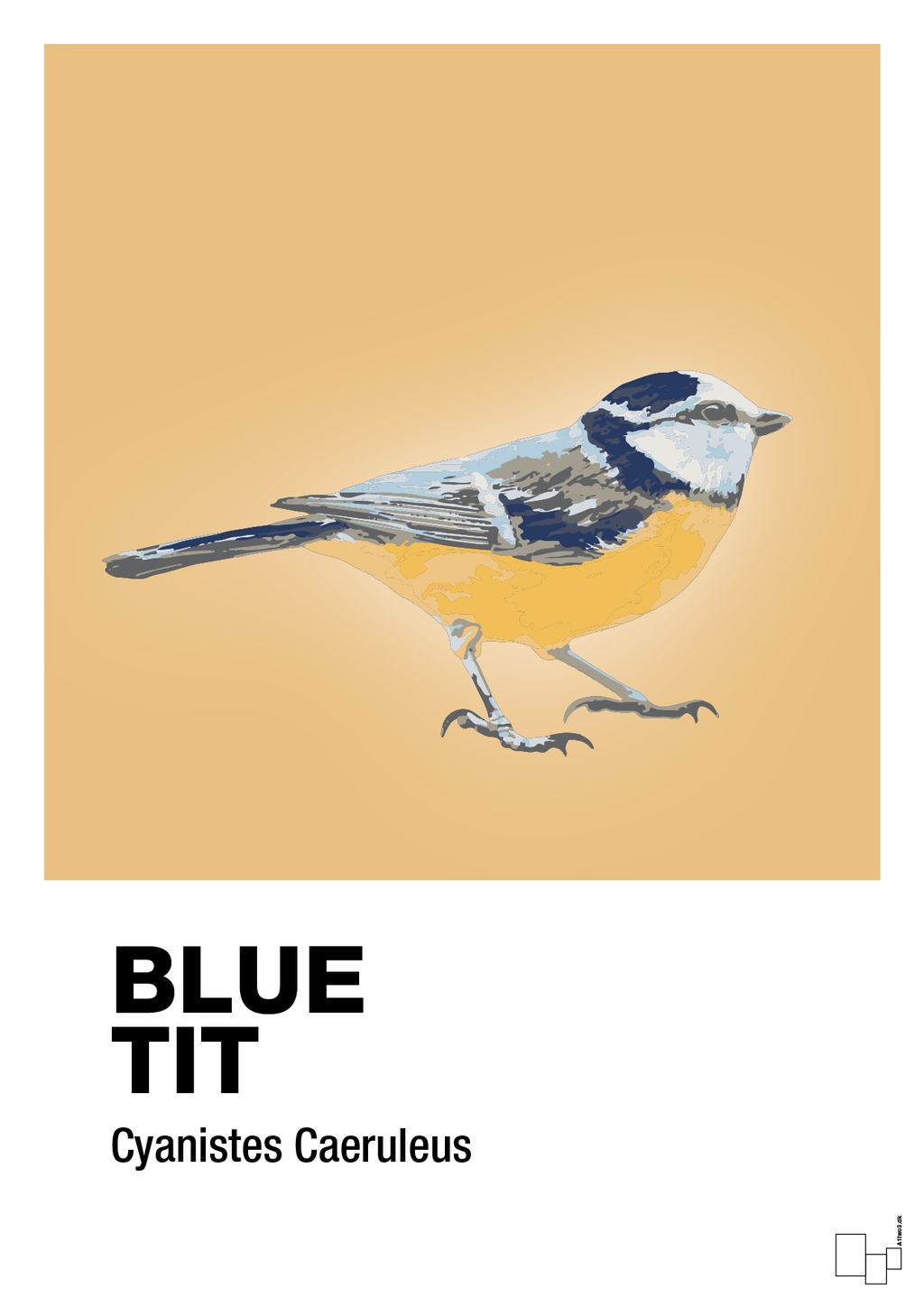 plakat: blue tit - charismatic-Dyr-A1two3