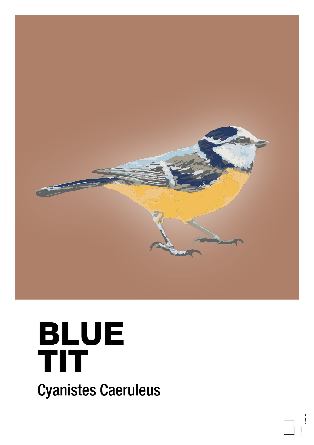 plakat: blue tit - cider spice-Dyr-A1two3
