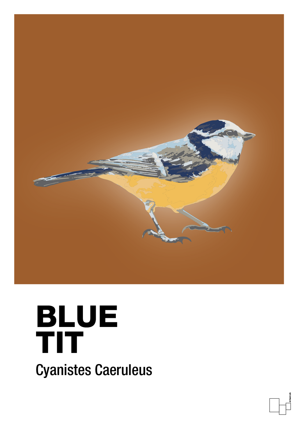 plakat: blue tit - cognac-Dyr-A1two3