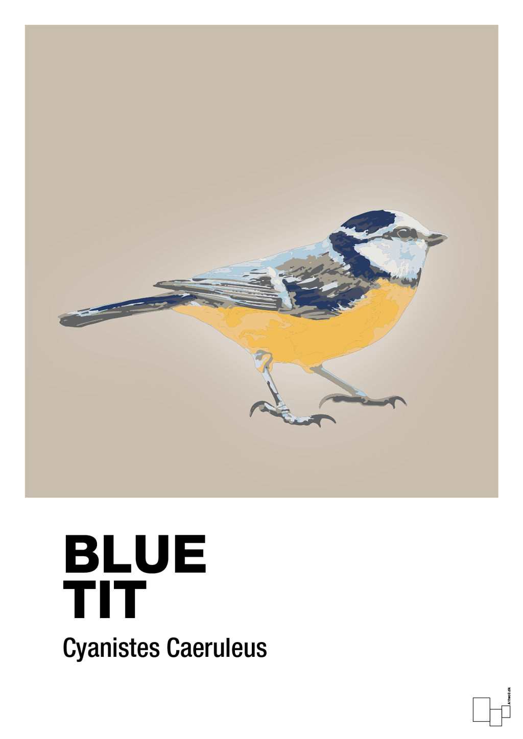 plakat: blue tit - creamy mushroom-Dyr-A1two3