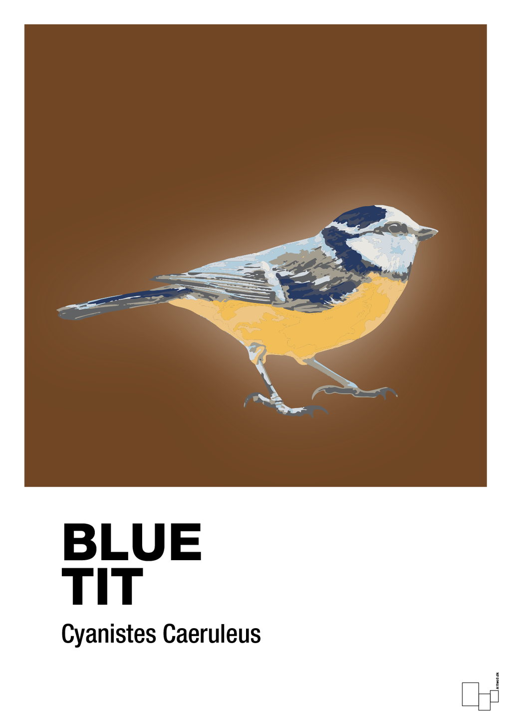 plakat: blue tit - dark brown-Dyr-A1two3