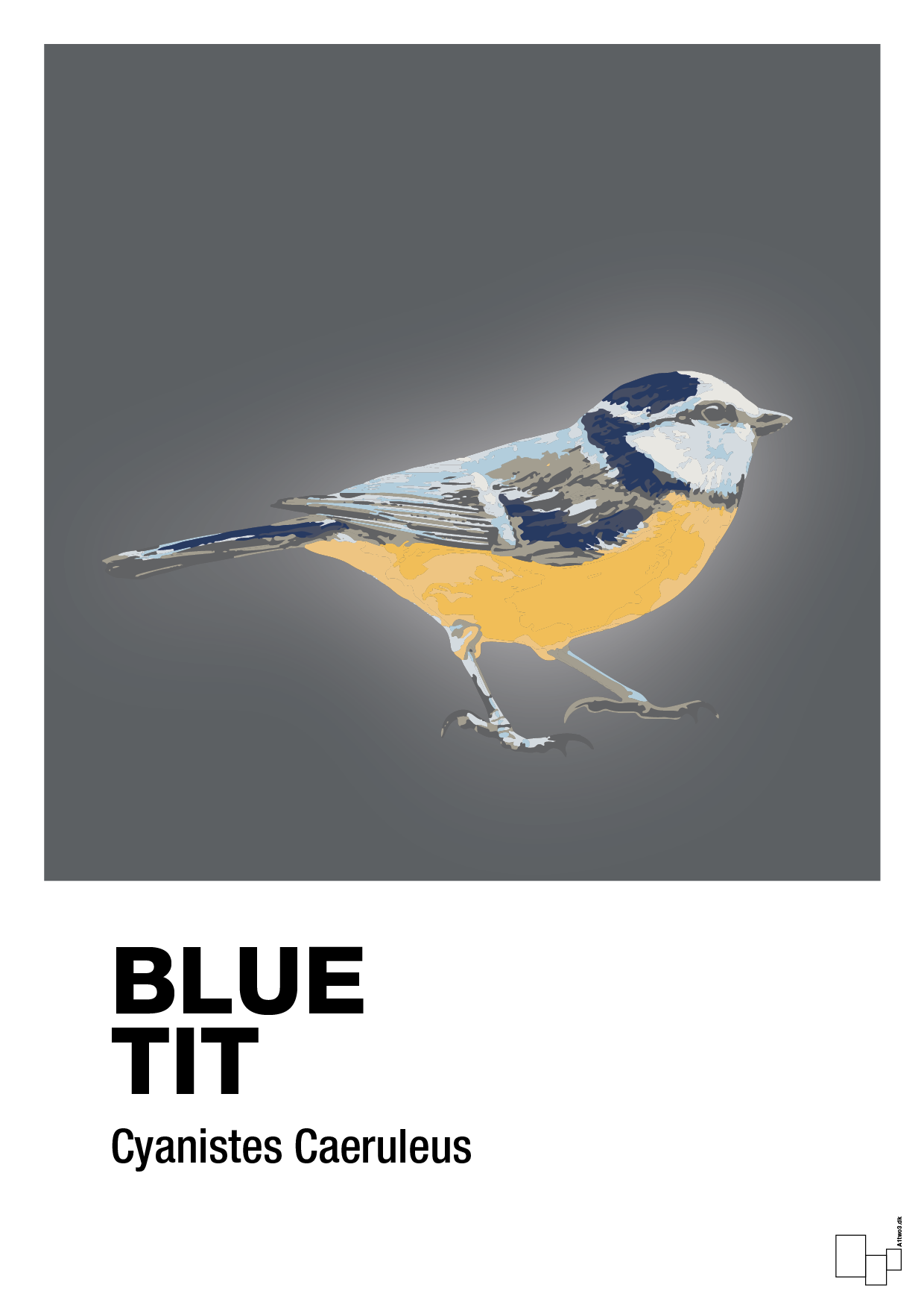 plakat: blue tit - graphic charcoal-Dyr-A1two3