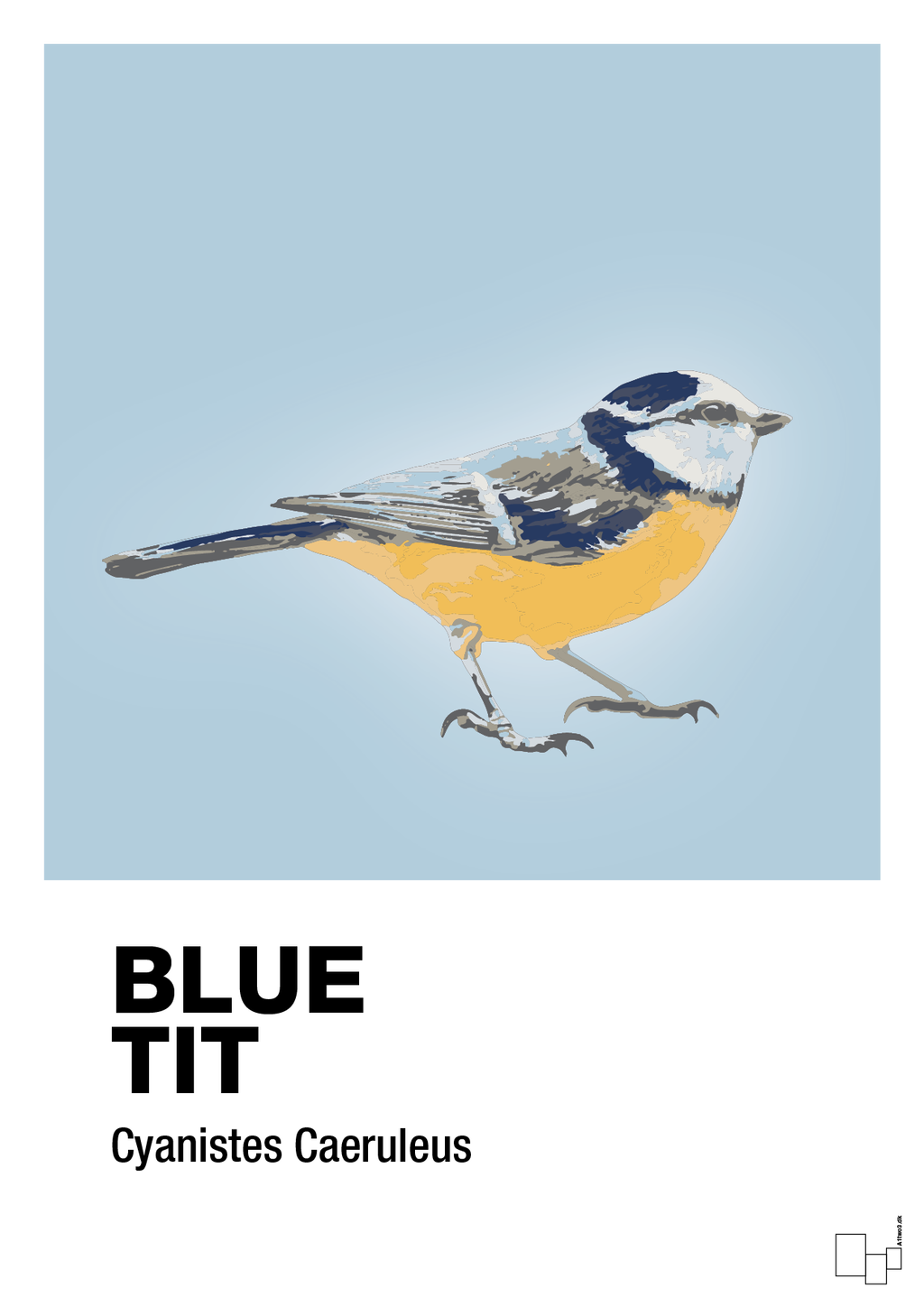 plakat: blue tit - heavenly blue-Dyr-A1two3