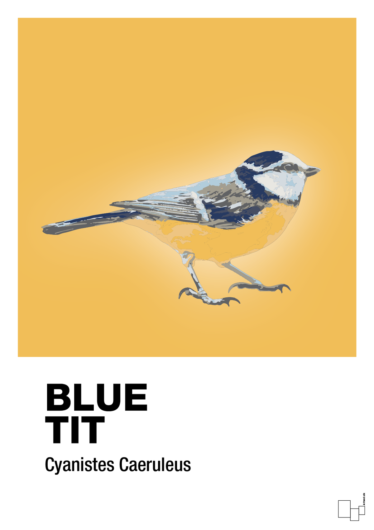 plakat: blue tit - honeycomb-Dyr-A1two3
