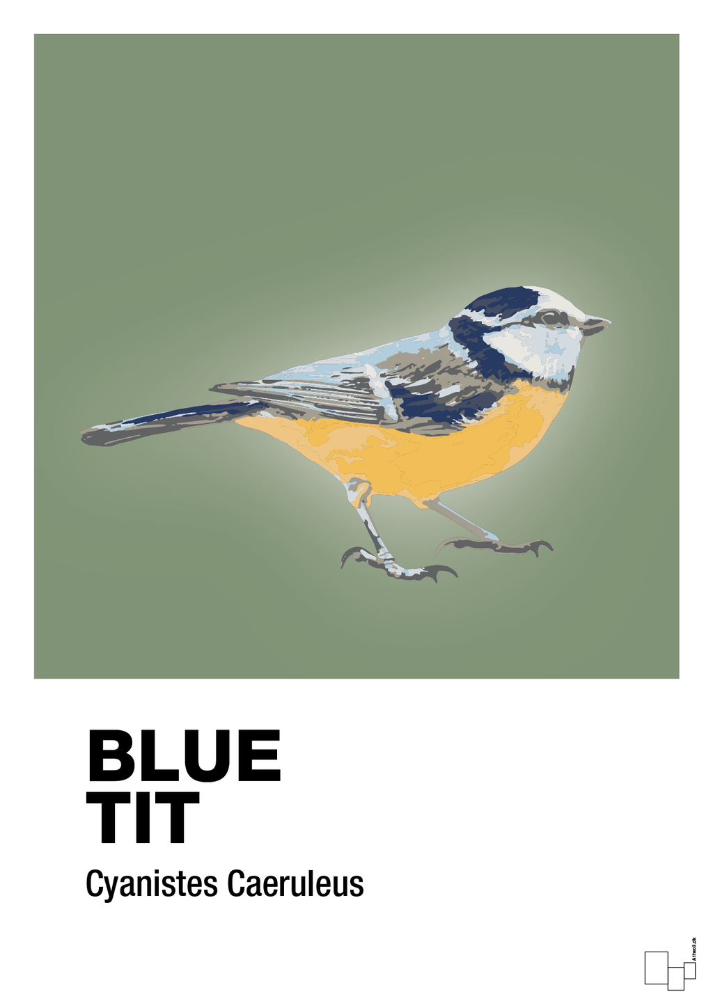 plakat: blue tit - jade-Dyr-A1two3