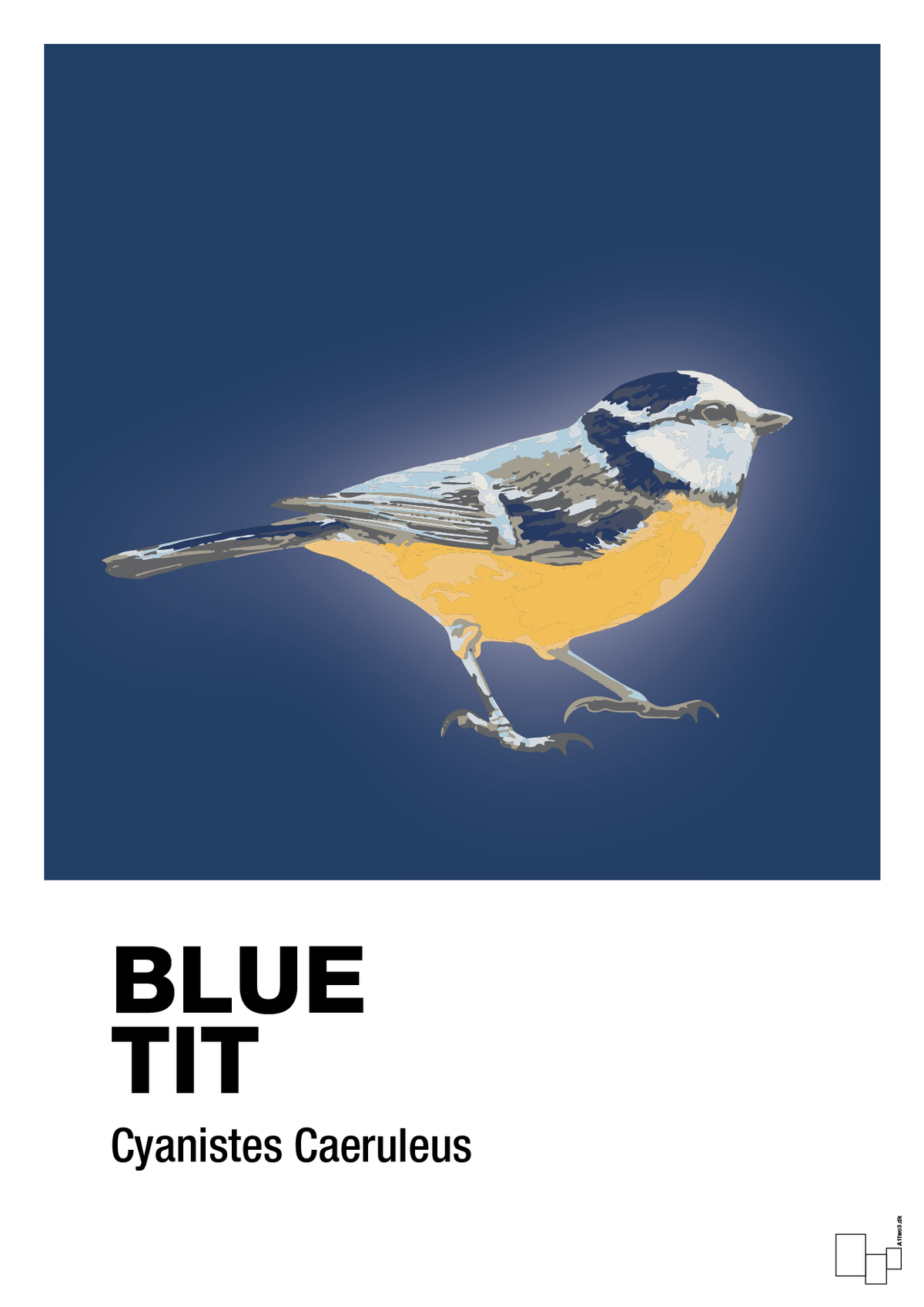 plakat: blue tit - lapis blue-Dyr-A1two3