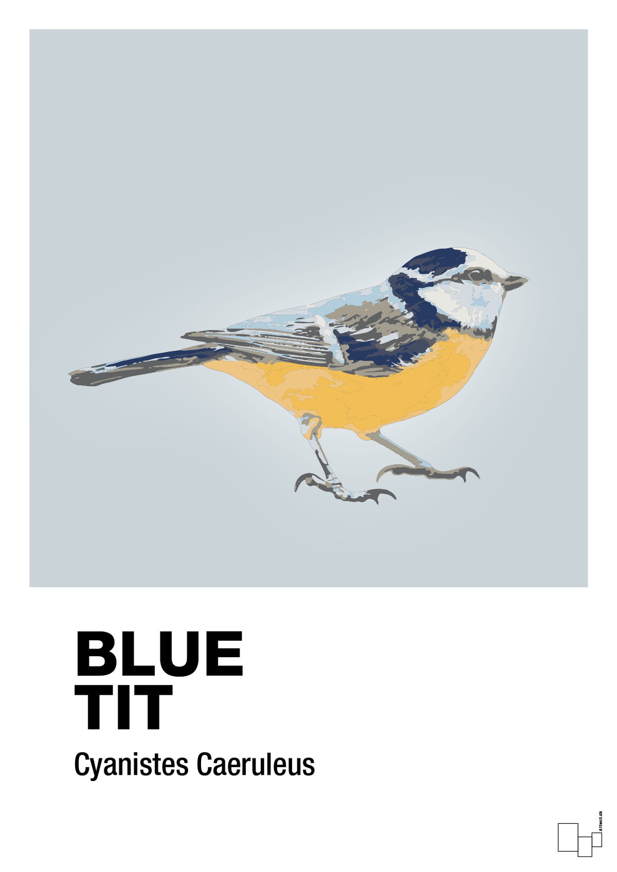 plakat: blue tit - light drizzle-Dyr-A1two3