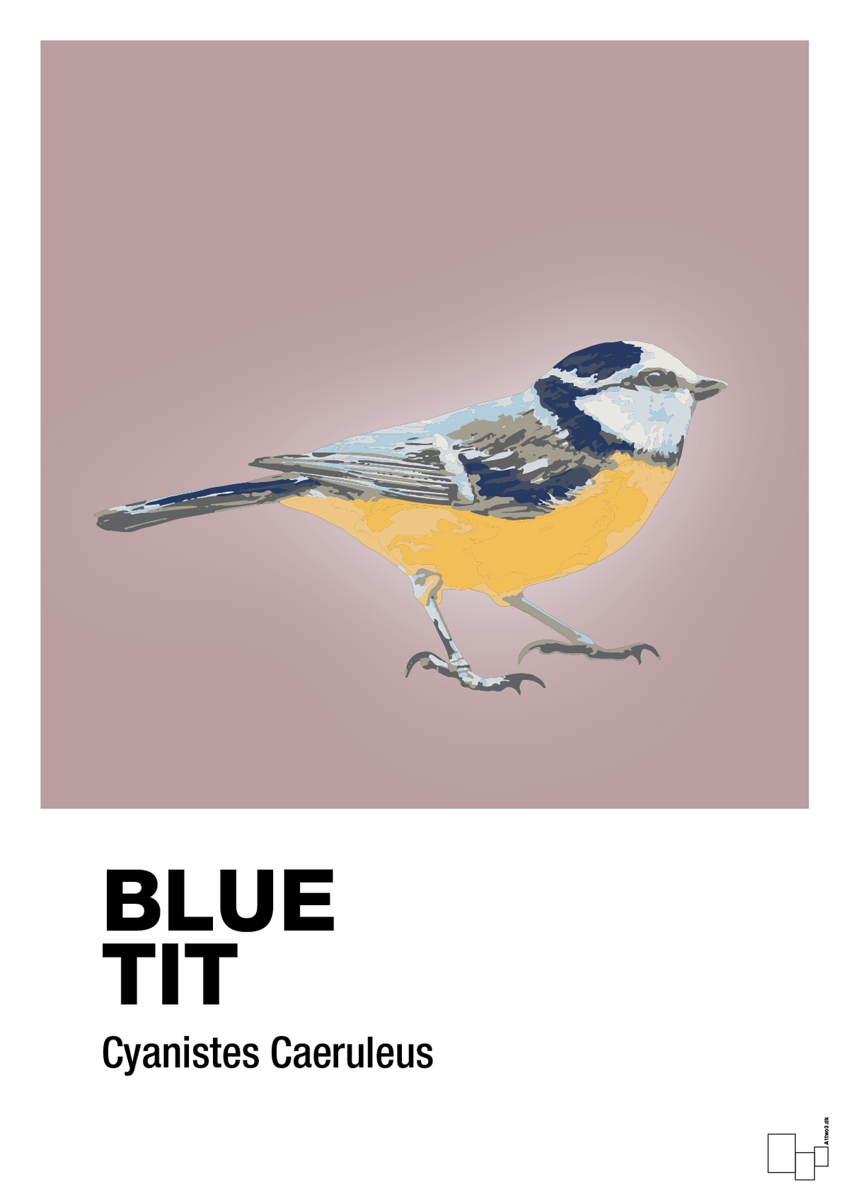 plakat: blue tit - light rose-Dyr-A1two3