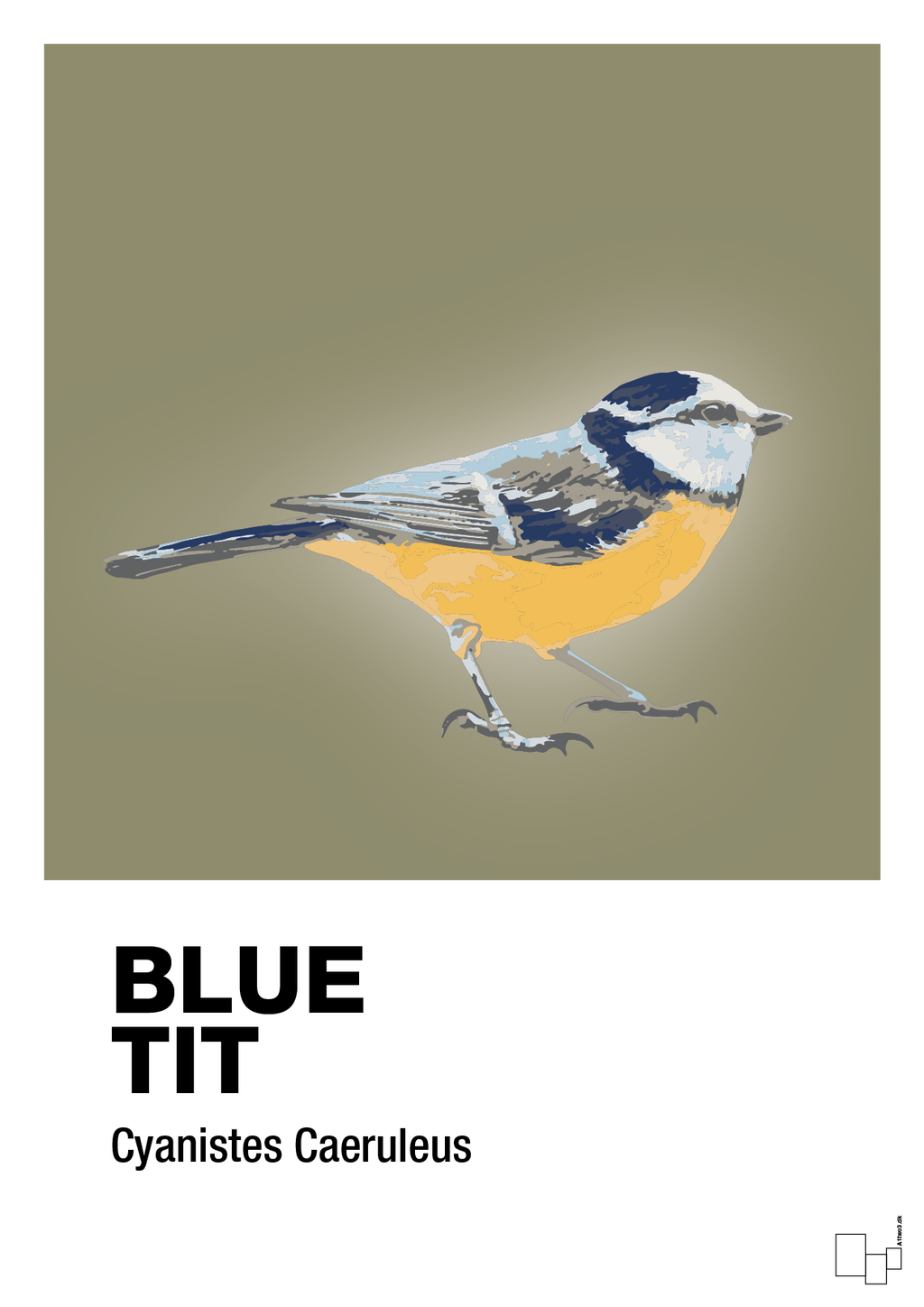 plakat: blue tit - misty forrest-Dyr-A1two3