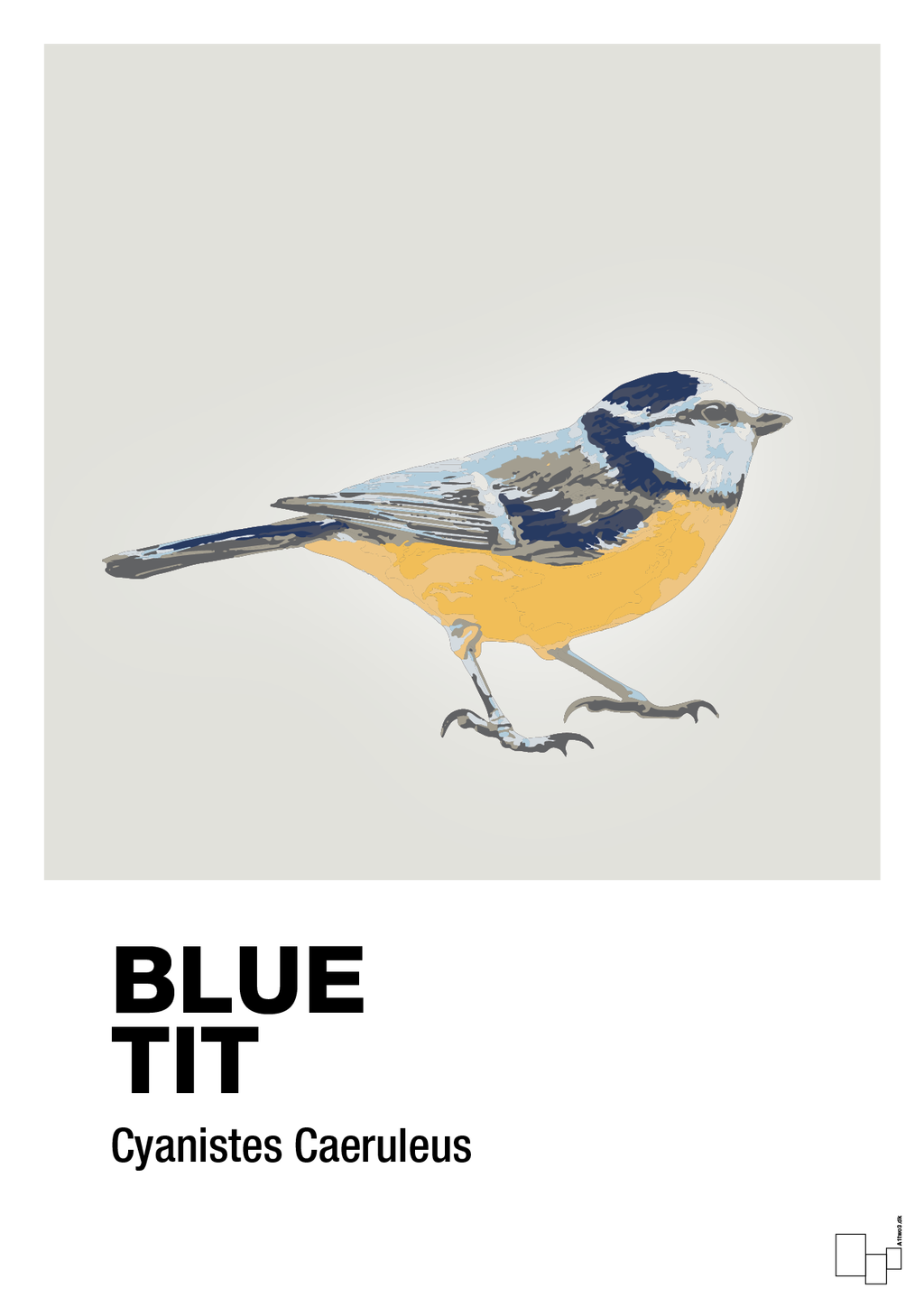 plakat: blue tit - painters white-Dyr-A1two3