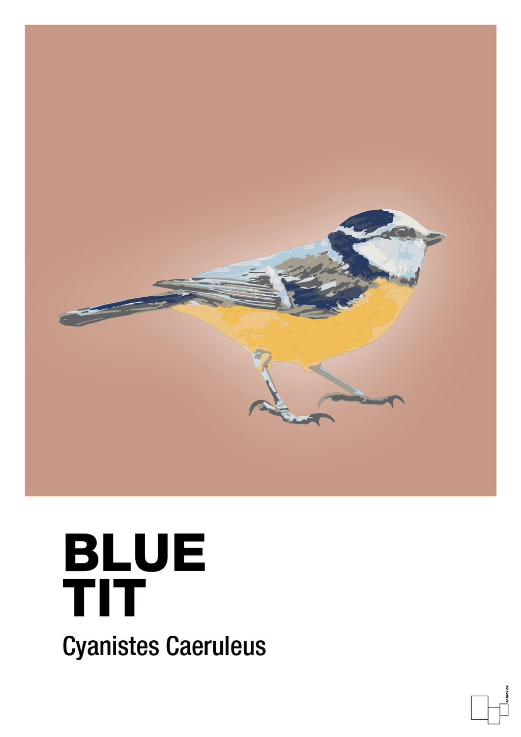 plakat: blue tit - powder-Dyr-A1two3