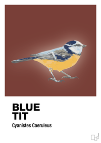 plakat: blue tit