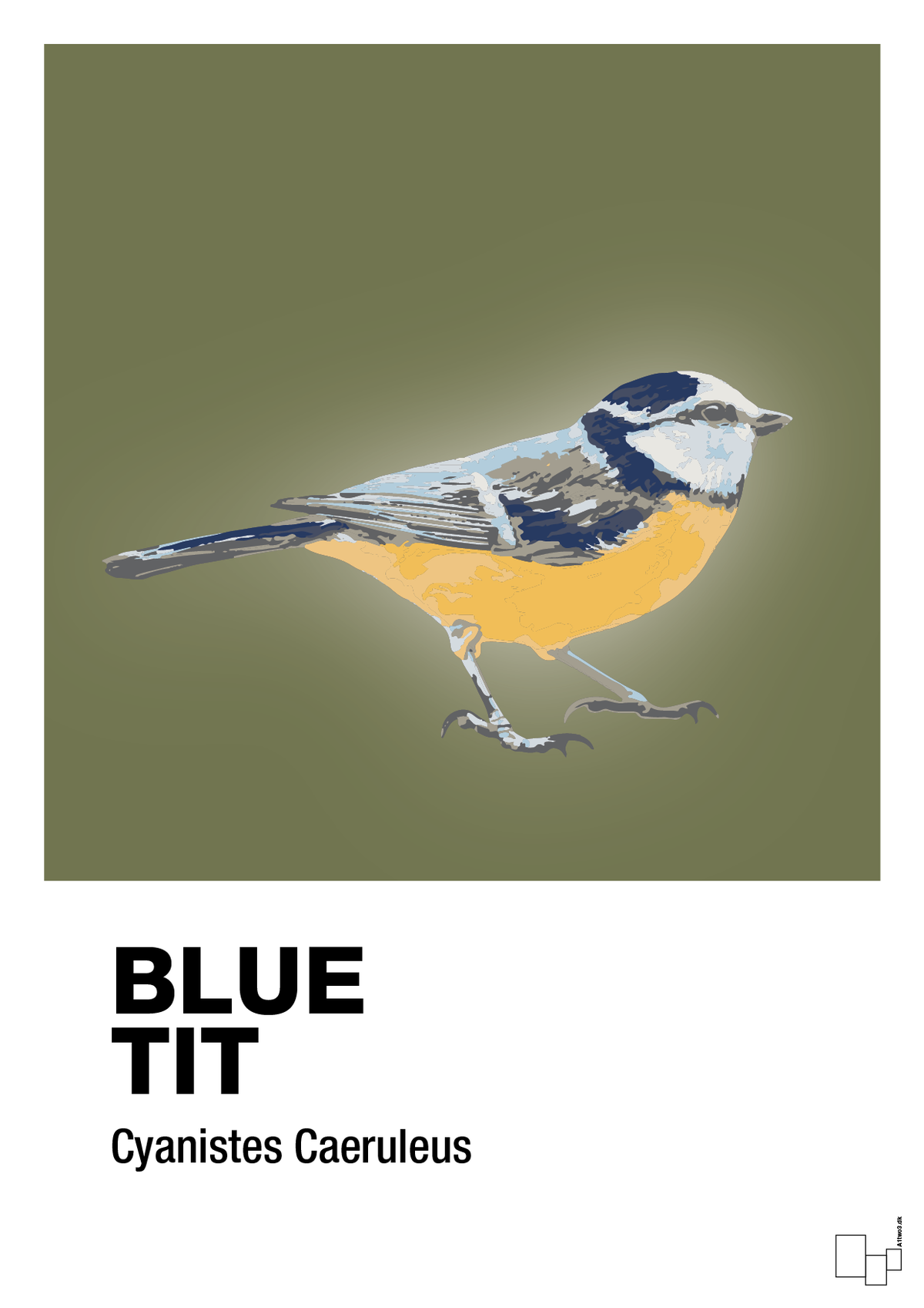 plakat: blue tit - secret meadow-Dyr-A1two3