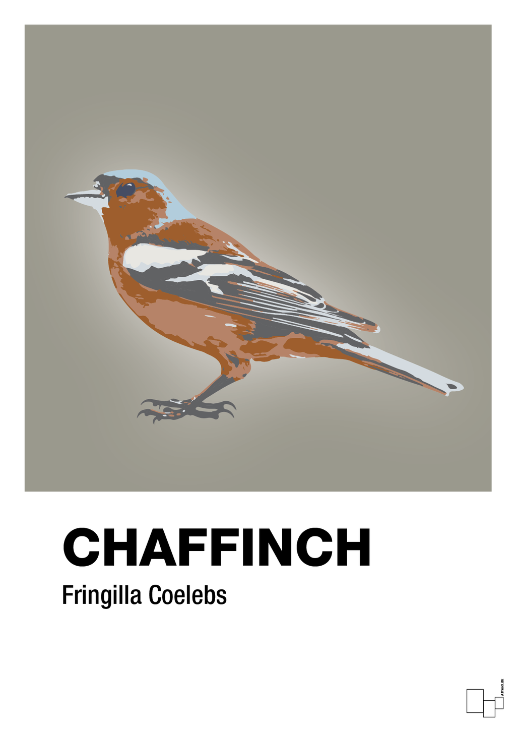 plakat: chaffinch - battleship gray-Dyr-A1two3