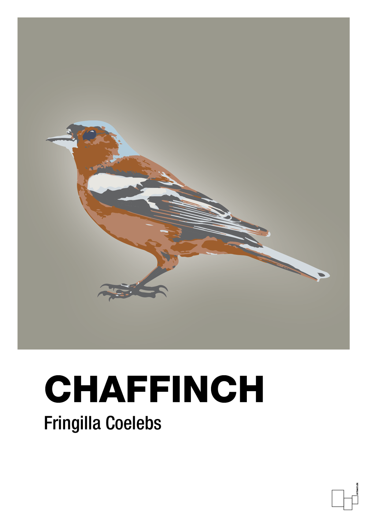 plakat: chaffinch - battleship gray-Dyr-A1two3