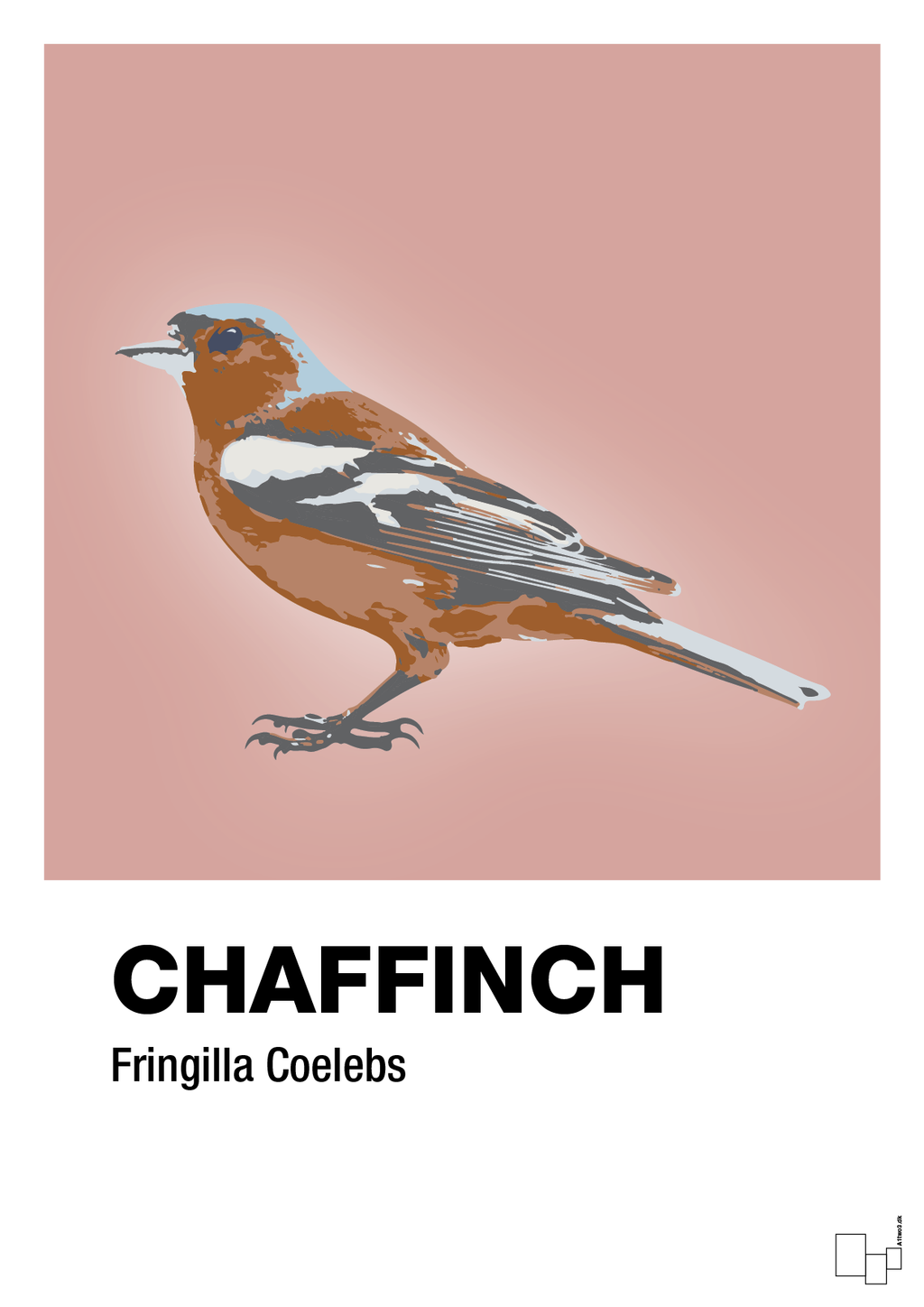 plakat: chaffinch - bubble shell-Dyr-A1two3