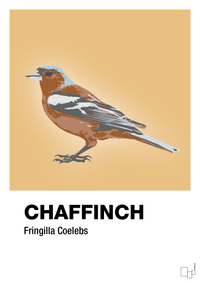 plakat: chaffinch