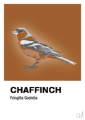 plakat: chaffinch - cognac-Dyr-A1two3