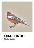 plakat: chaffinch - creamy mushroom-Dyr-A1two3