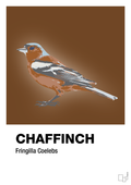 plakat: chaffinch - dark brown-Dyr-A1two3