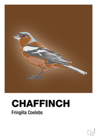 plakat: chaffinch