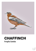 plakat: chaffinch - dusty lilac-Dyr-A1two3