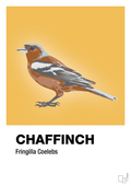 plakat: chaffinch - honeycomb-Dyr-A1two3