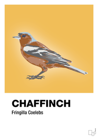 plakat: chaffinch