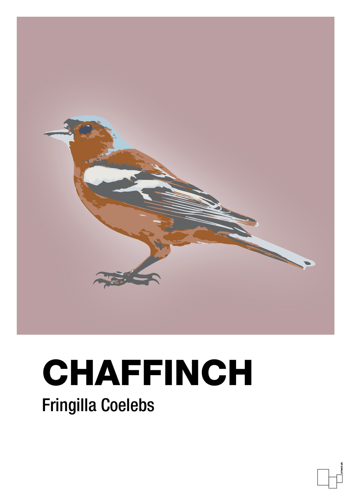 plakat: chaffinch - light rose-Dyr-A1two3