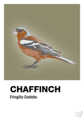 plakat: chaffinch - misty forrest-Dyr-A1two3