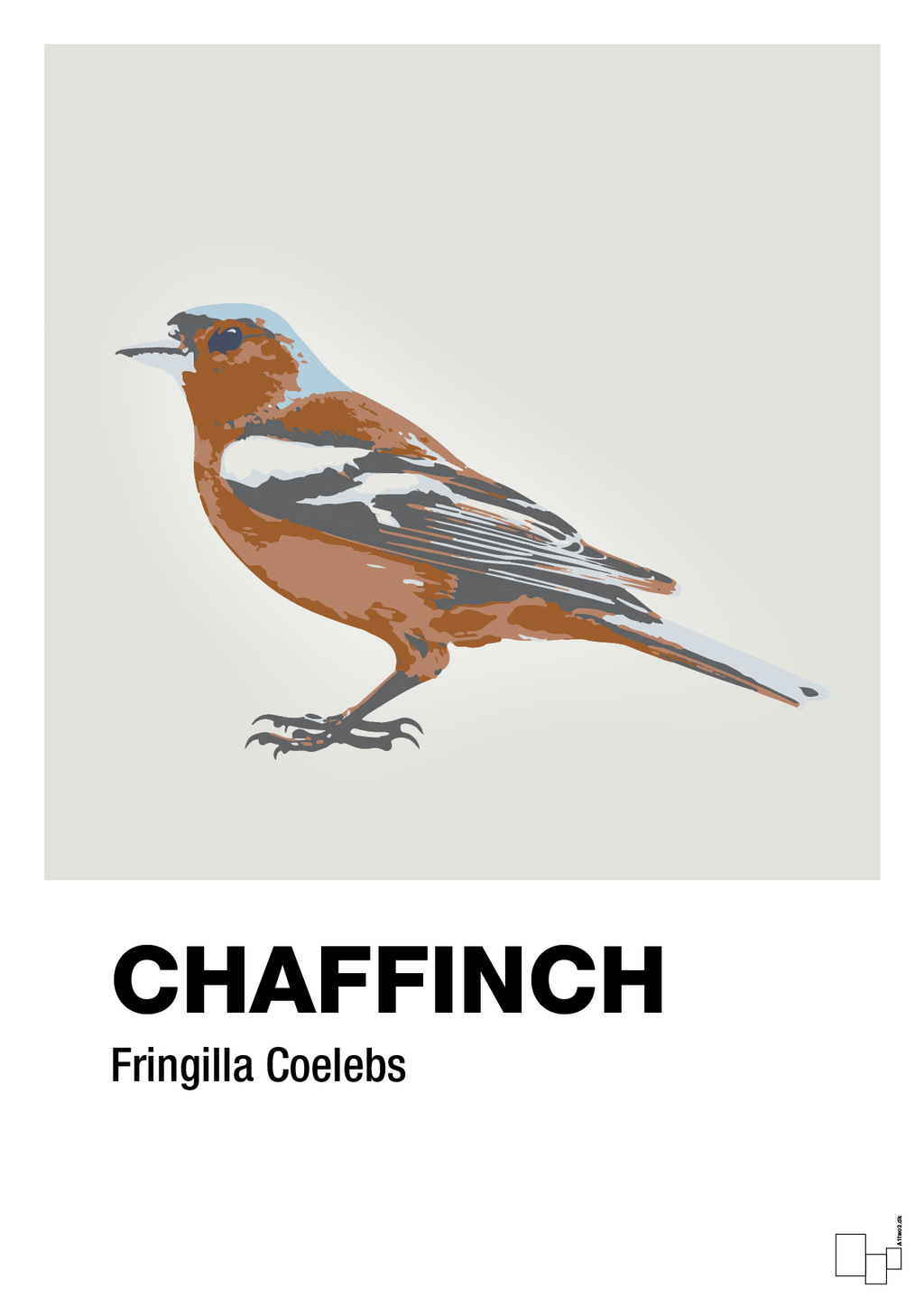 plakat: chaffinch - painters white-Dyr-A1two3