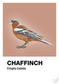 plakat: chaffinch - powder-Dyr-A1two3