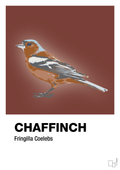 plakat: chaffinch - red pepper-Dyr-A1two3