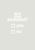 plakat: are you stressed - painters white-Stress-A1two3