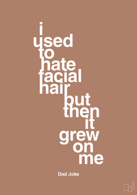 plakat: i used to hate facial hair but then it grew on me - cider spice-Humor-A1two3