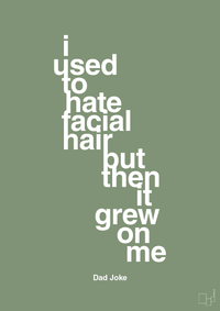 plakat: i used to hate facial hair but then it grew on me - jade-Humor-A1two3