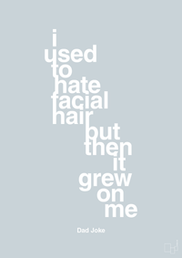 plakat: i used to hate facial hair but then it grew on me - light drizzle-Humor-A1two3