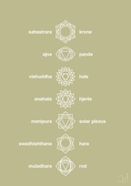 plakat: chakra - back to nature