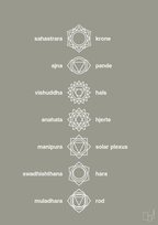 plakat: chakra - battleship gray