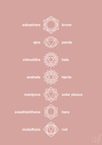 plakat: chakra - bubble shell