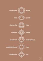 plakat: chakra - cider spice