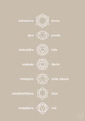 plakat: chakra - creamy mushroom